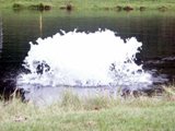 High Oxygen Transfer Pond Aerator