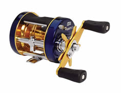 Abu Garcia Big Water Fishing reel