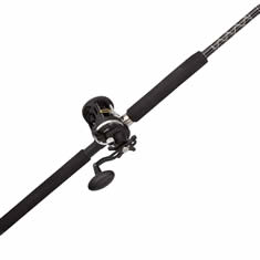 Penn Fishing Rod and Reel Combo